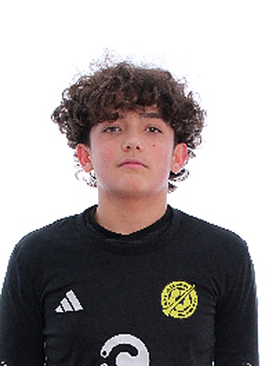 Cardoso Fernandez, Javier