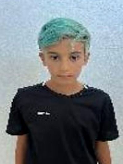 Llorente Bosch, Quim