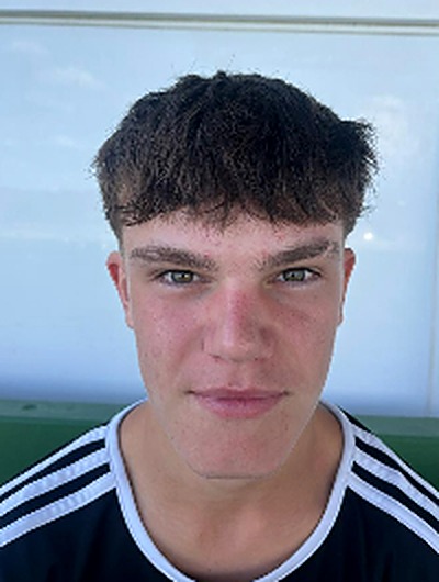 Vidal Martin, Daniel